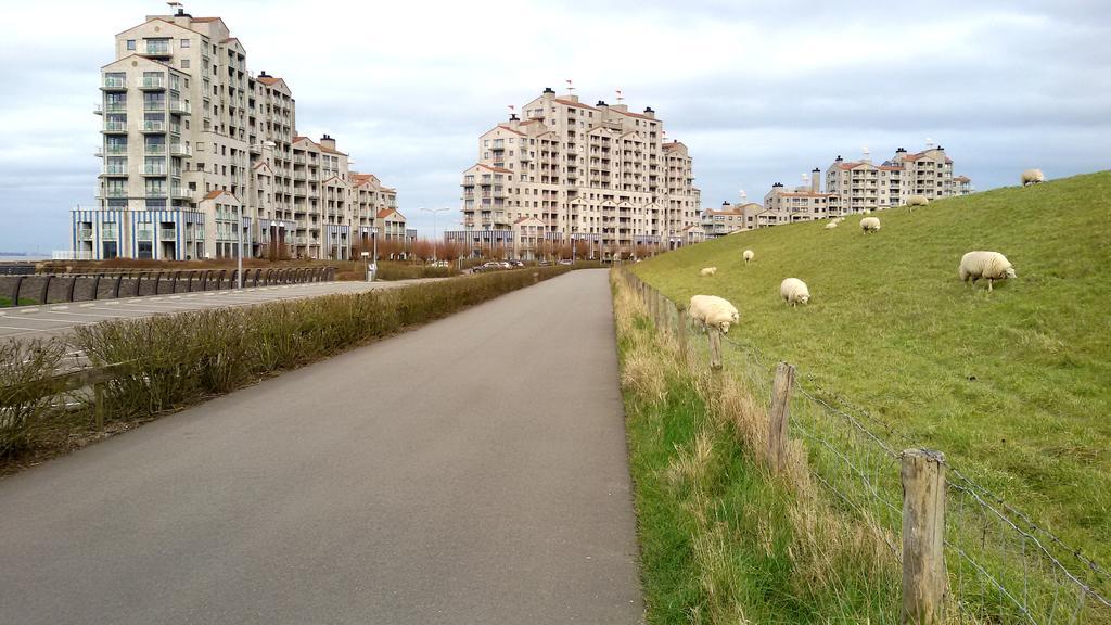 Port Scaldis Apartment Breskens Bagian luar foto